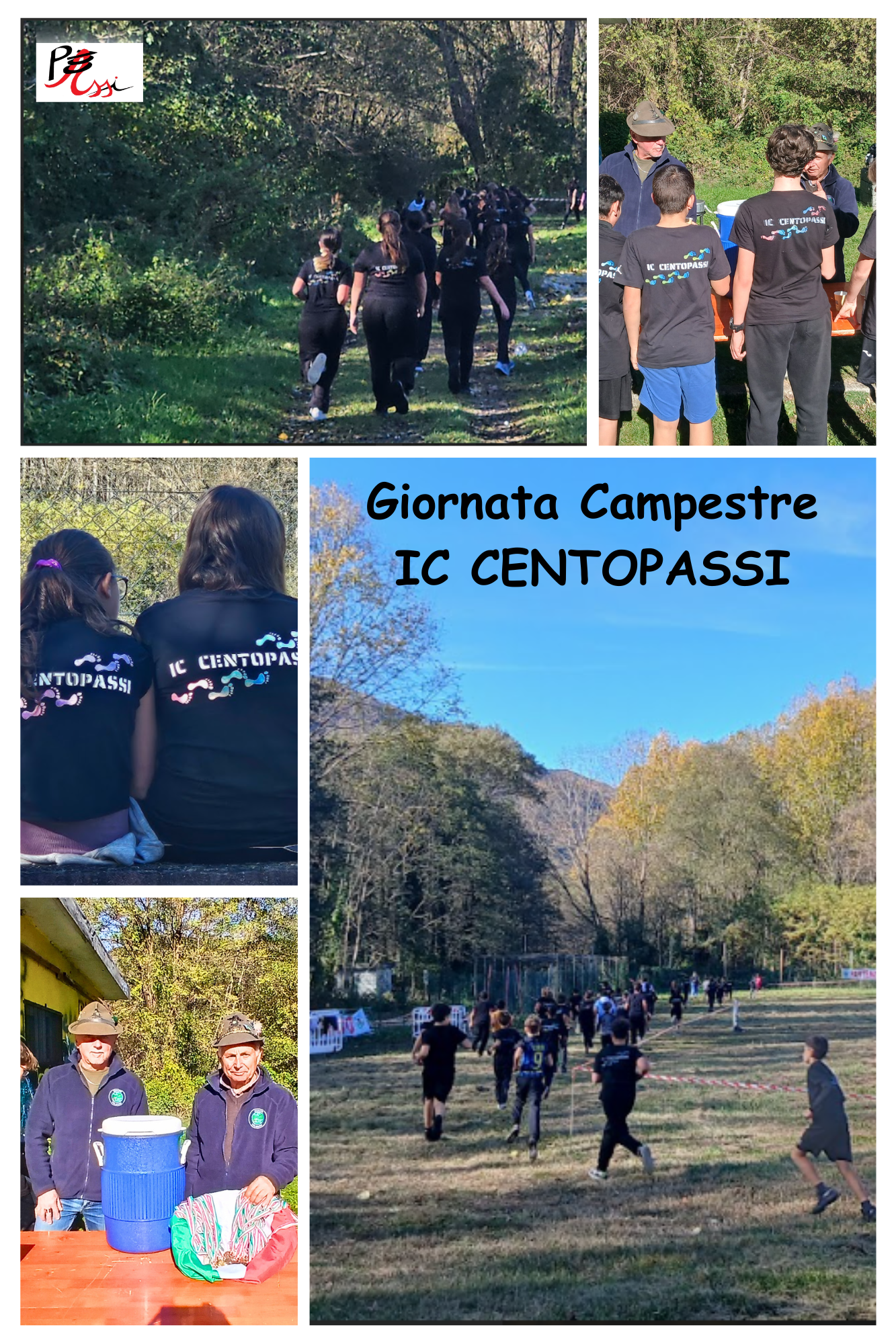 Collage campestre.png